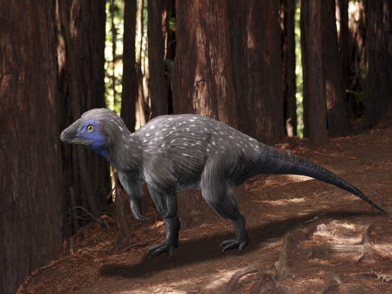 Kulindadromeus