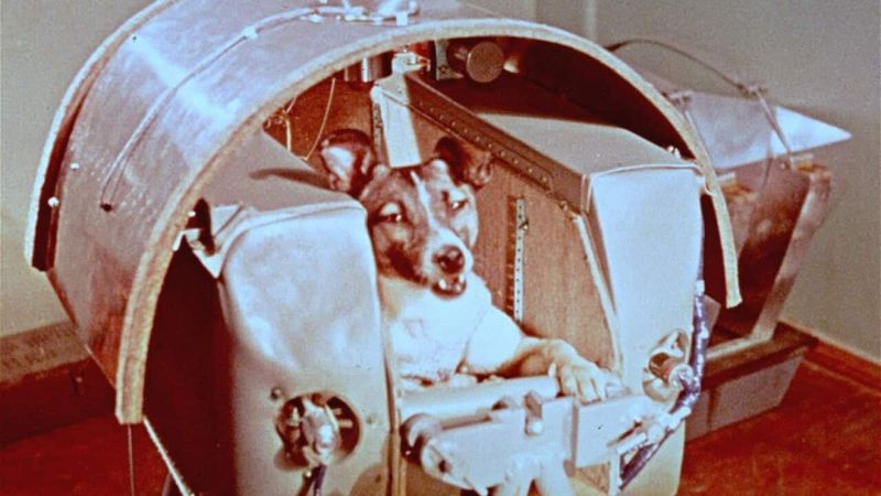 Laika the Space Dog