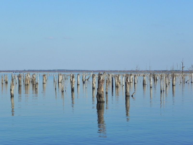 Lake Fork, Texas