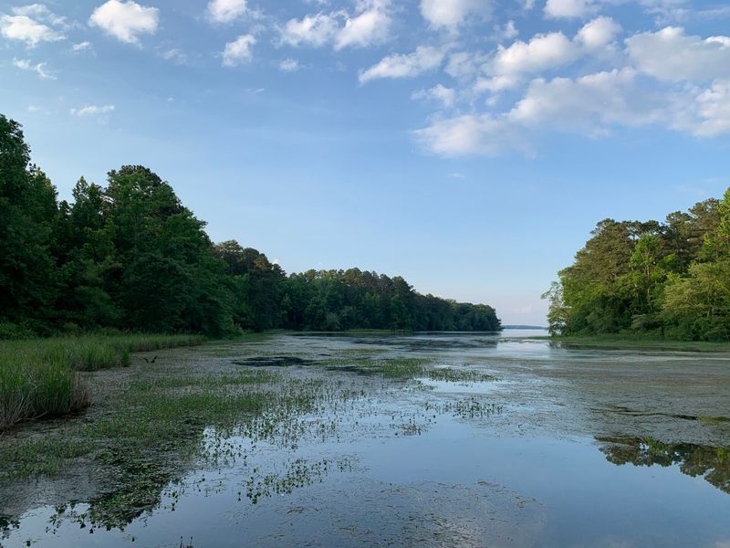 Lake Guntersville, Alabama