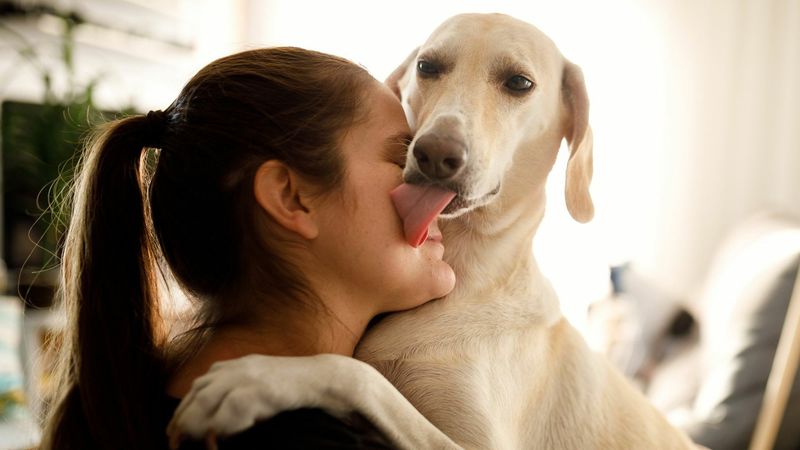 Licking Your Face