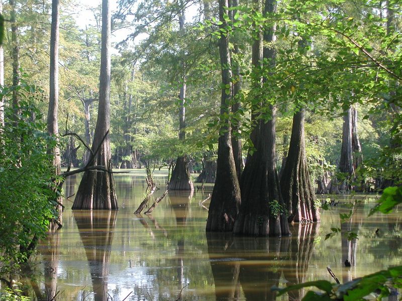 Louisiana