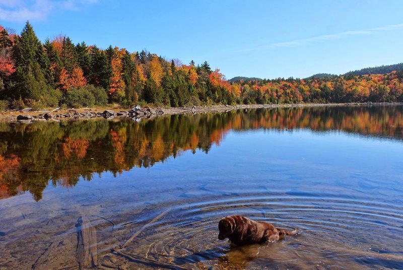 Maine