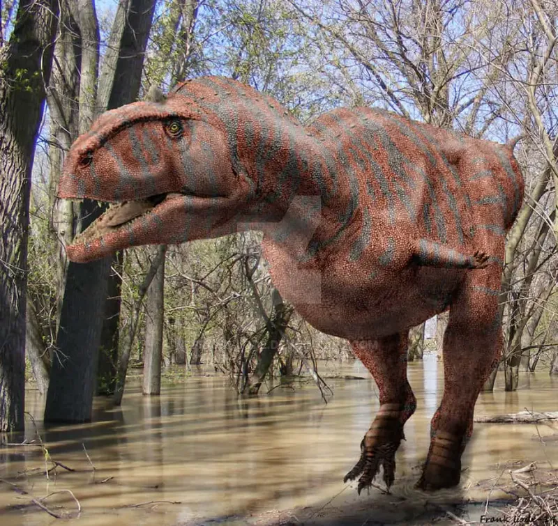 Majungasaurus