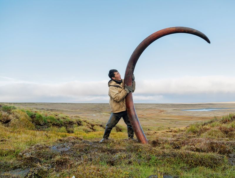 Mammoth Tusk