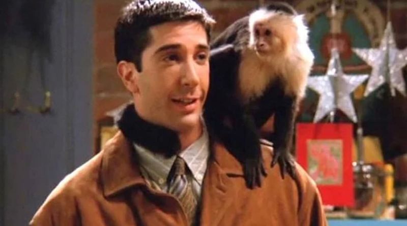 Marcel the Monkey