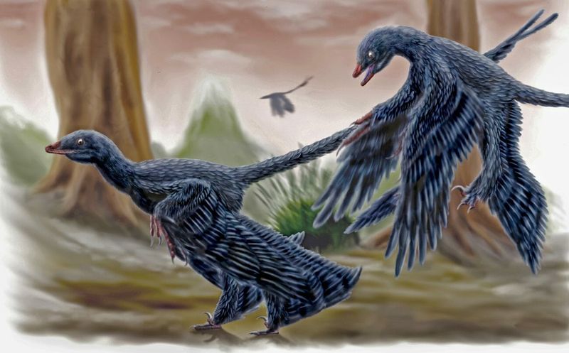 Microraptor