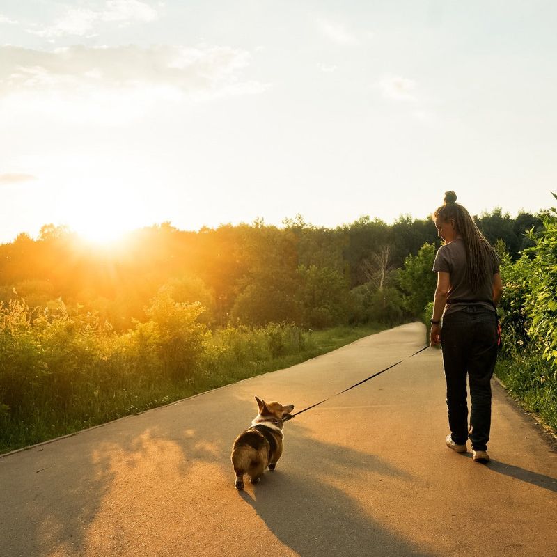 Morning Walks