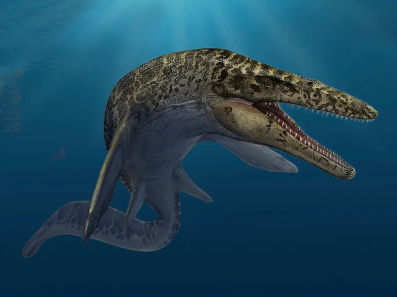 Mosasaurus