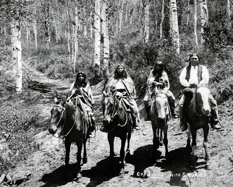 Mustangs and Native American Culture