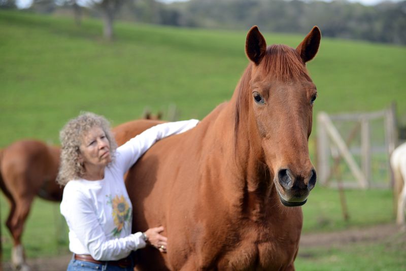 Myth: Horses Have No Emotions