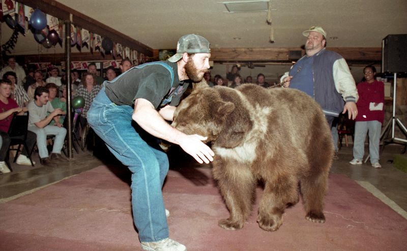 No Bear Wrestling - Alabama, USA