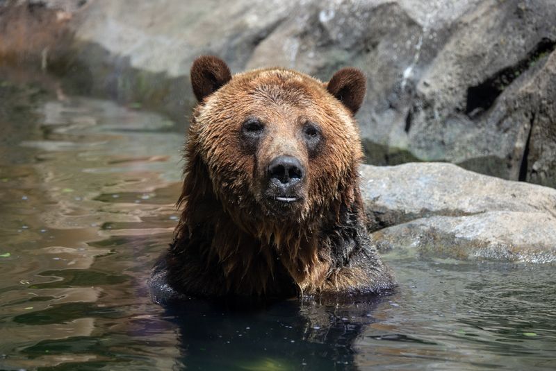 North Carolina Zoo