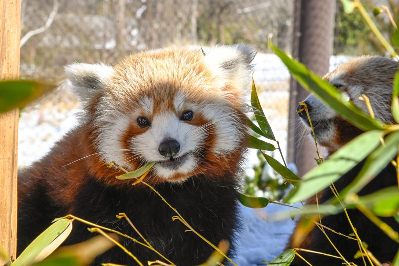 Oklahoma City Zoo