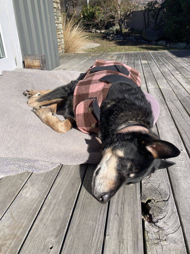 On a Wooden Deck