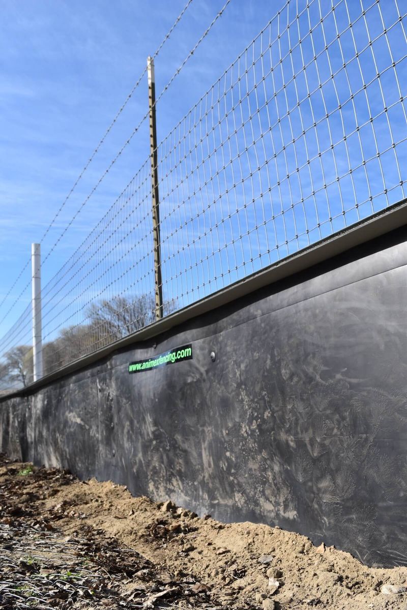 Oregon's Frog Fences