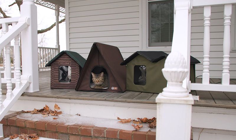 Outdoor Cat Shelters