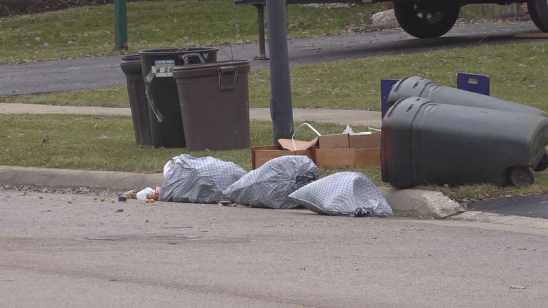 Overturned Garbage Bins