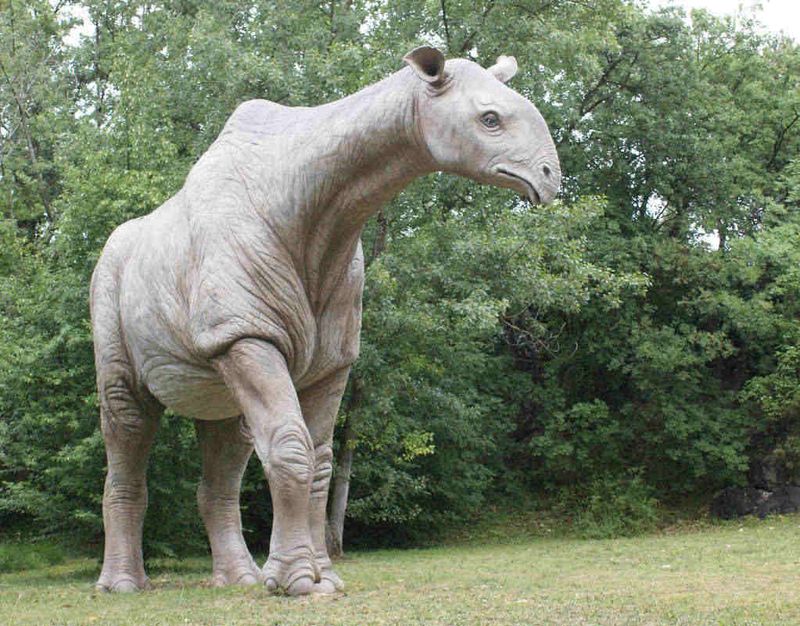 Paraceratherium