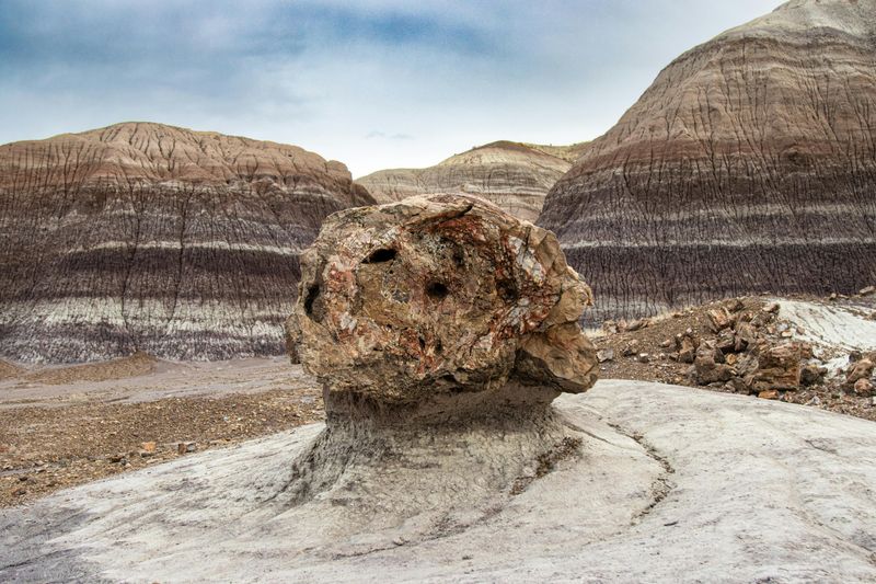 Petrified Forest National Park, Arizona