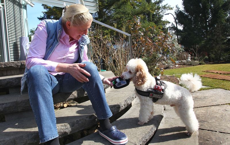 Poodle Detects Cancer in Owner