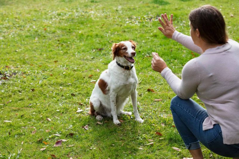 Positive Reinforcement Training