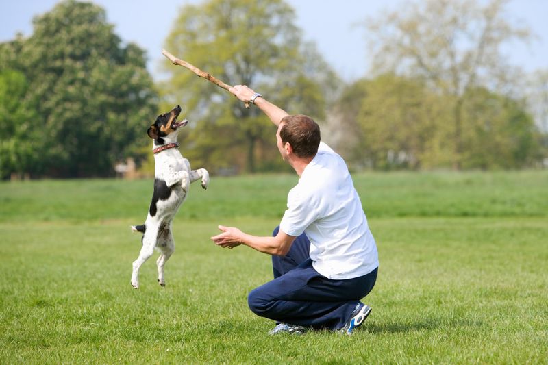 Positive Response to Training