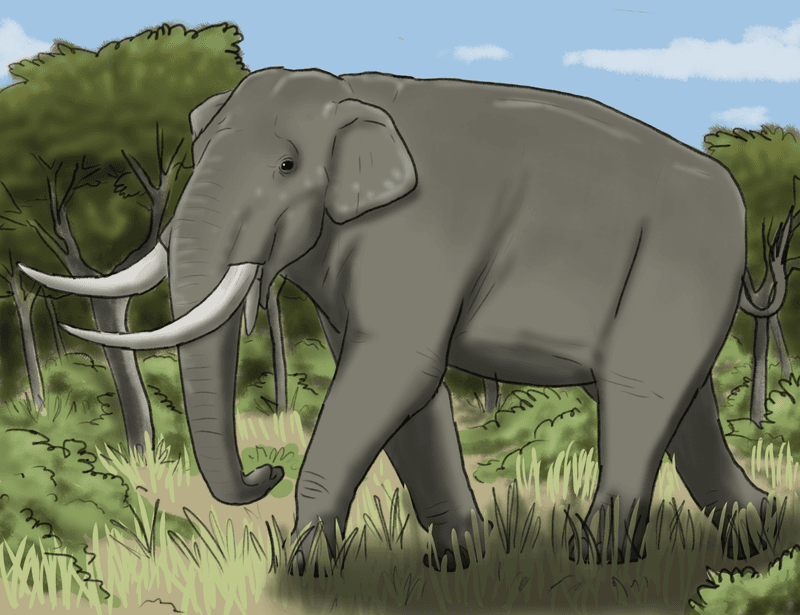 Primelephas gomphotheroides