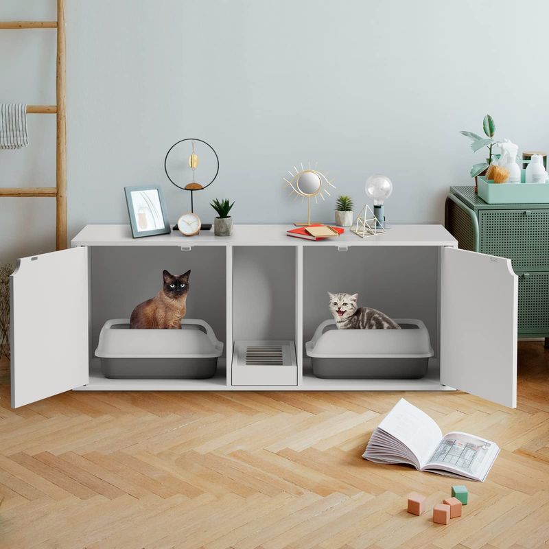 Provide Multiple Litter Boxes