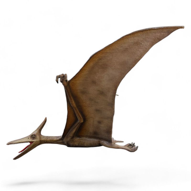 Pterodactyl Wing