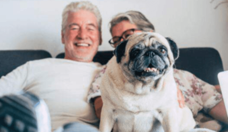 Pug Cheers Up Lonely Senior