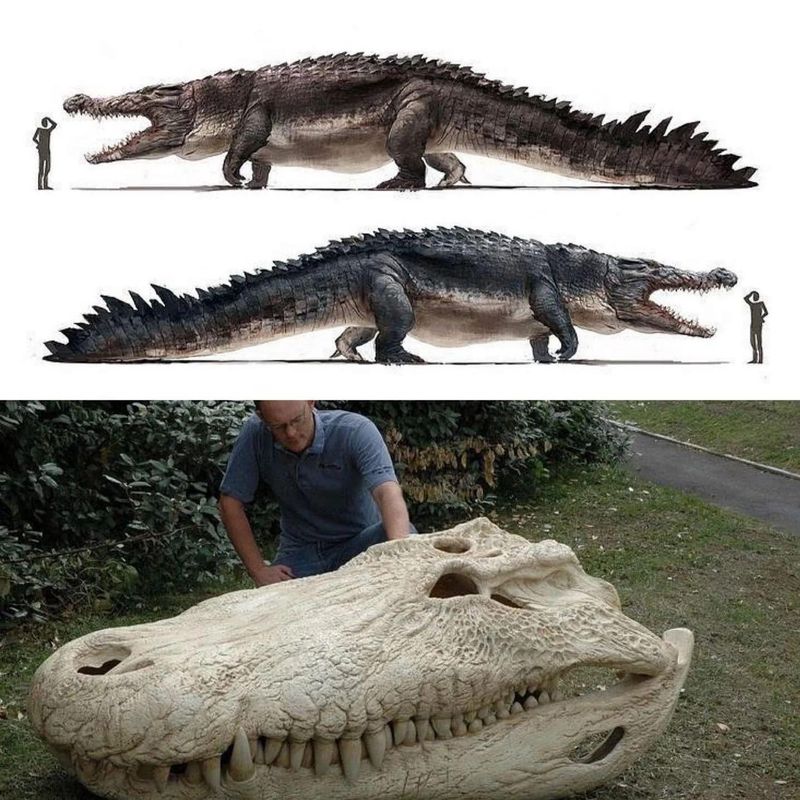 Purussaurus