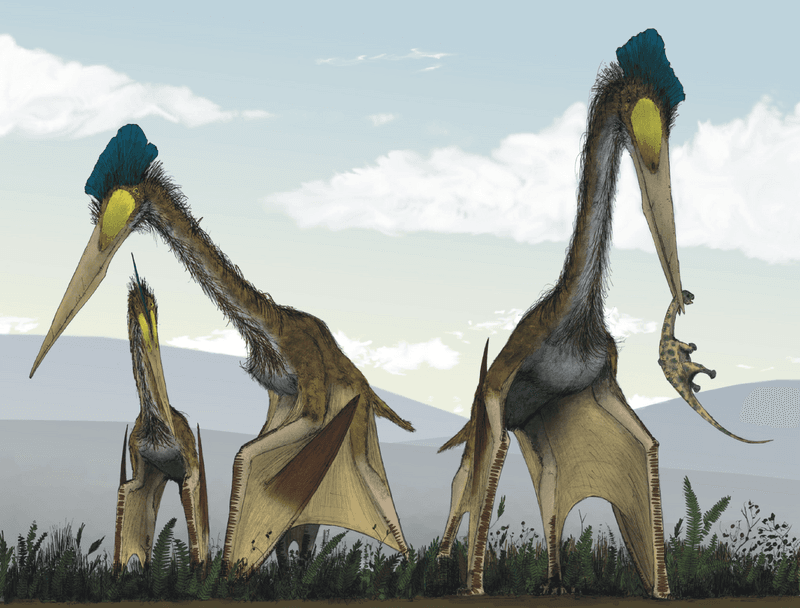 Quetzalcoatlus