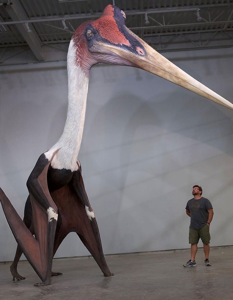 Quetzalcoatlus