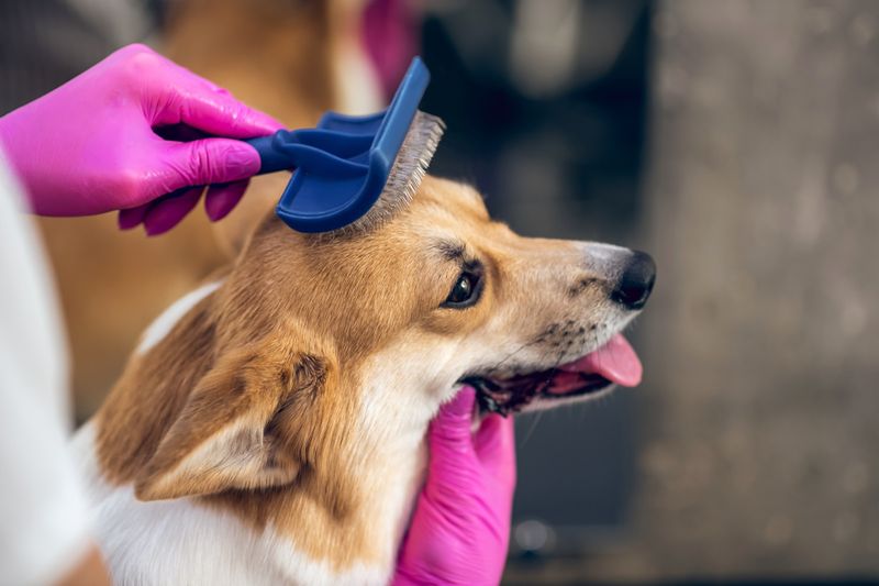 Regular Brushing