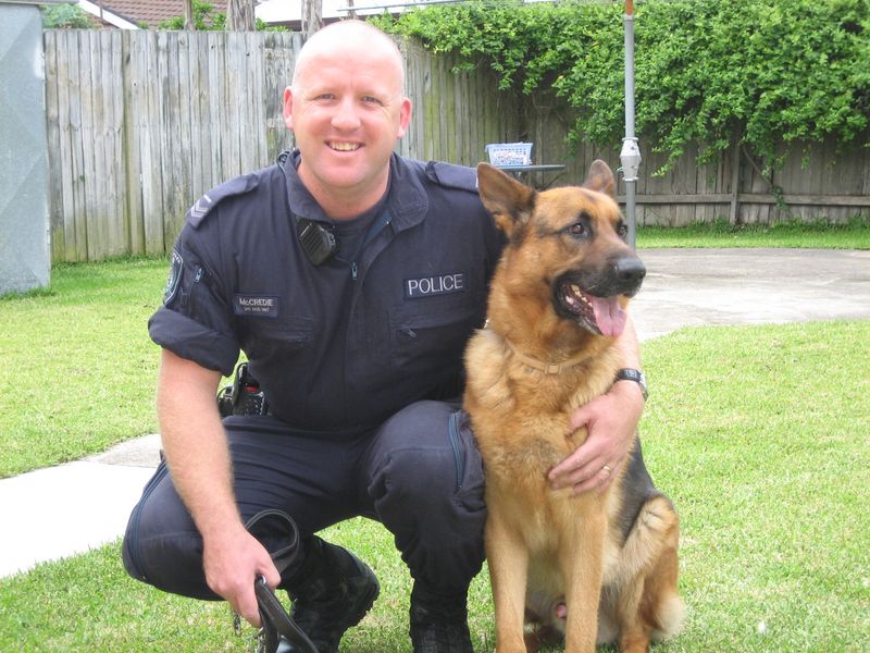 Rex the Police Dog