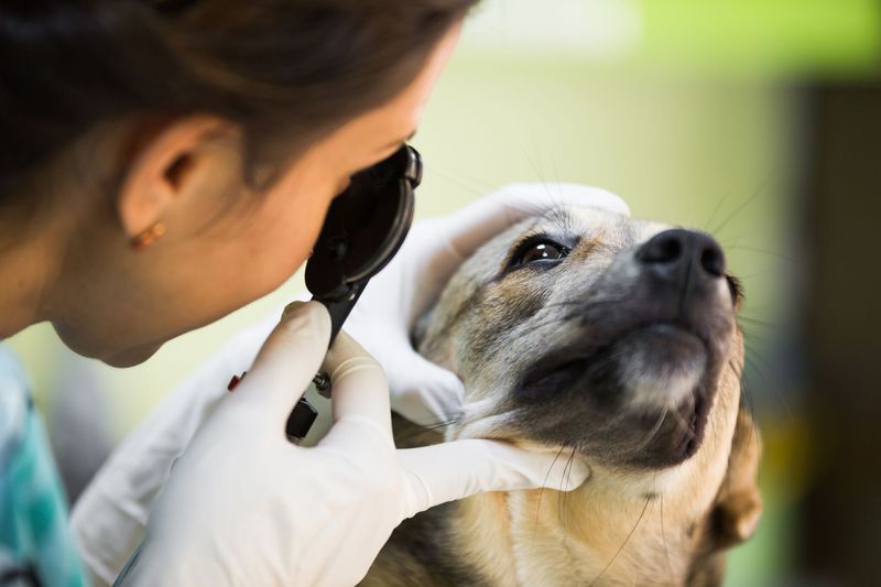 Routine Health Checks