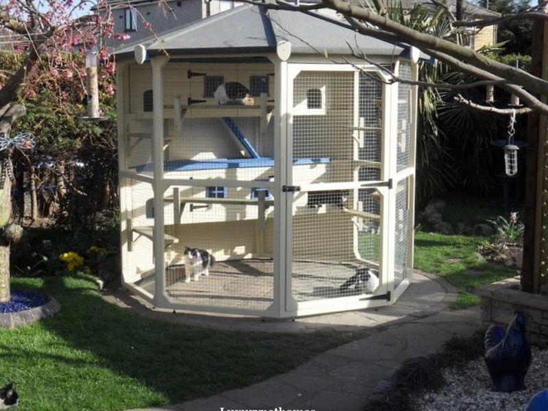 Royal Castle Catio