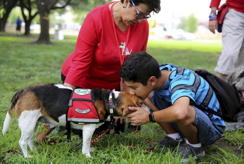 Sammy the Emotional Support Dog