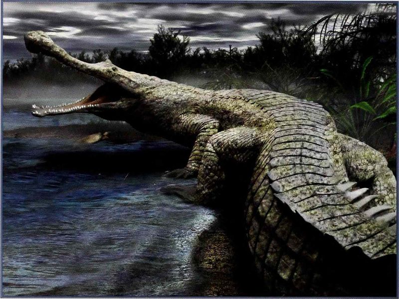 Sarcosuchus