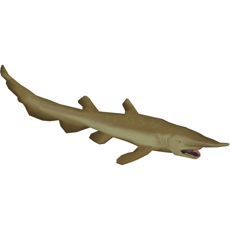 Scapanorhynchus