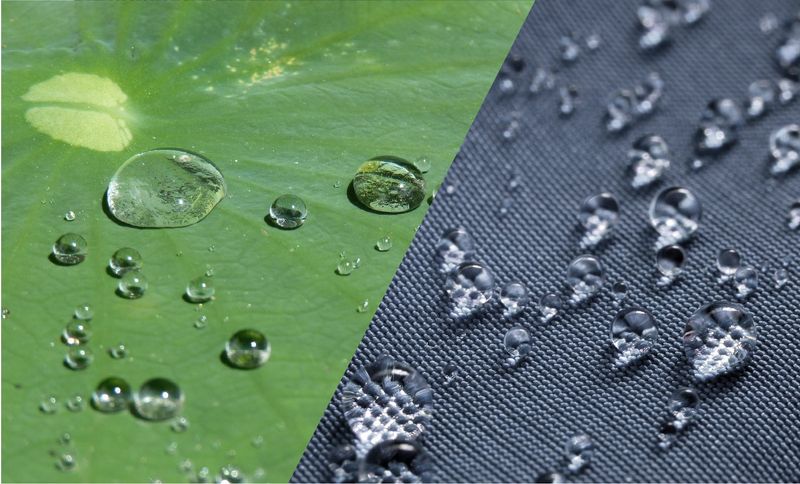 Self-Cleaning Surfaces Inspired by Lotus Leaves