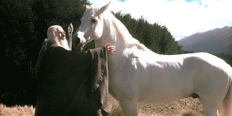 Shadowfax