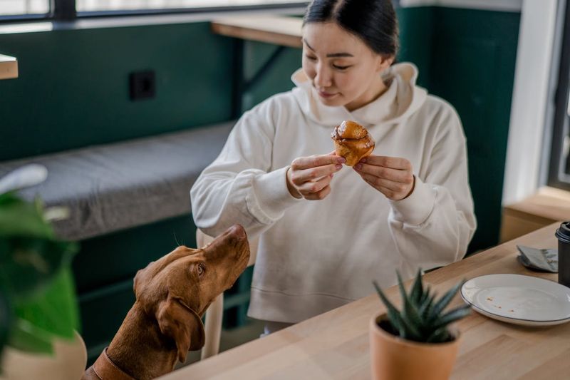 Sharing Meals