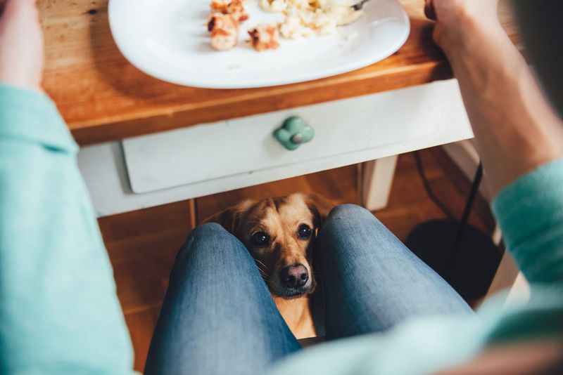 Sharing Meals