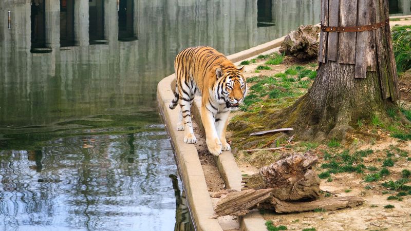 Smithsonian's National Zoo