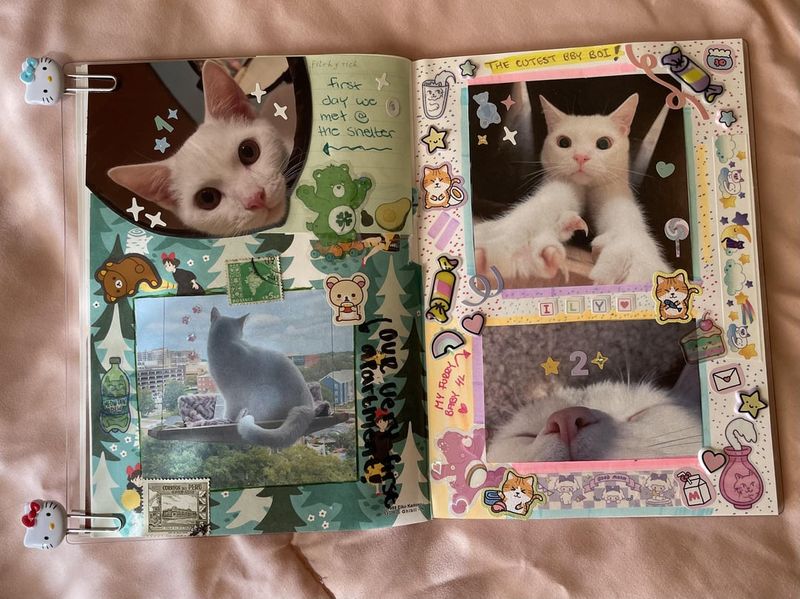 Start a Pet Scrapbook