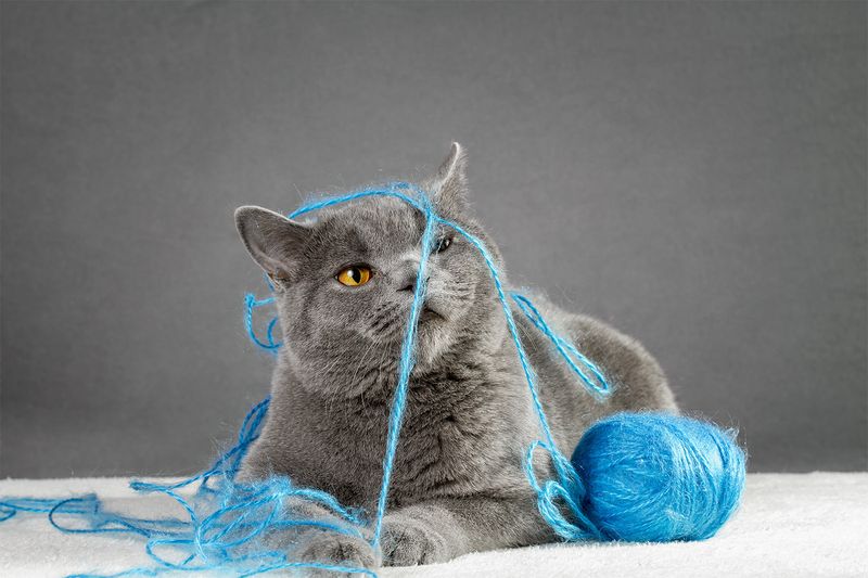 String and Yarn