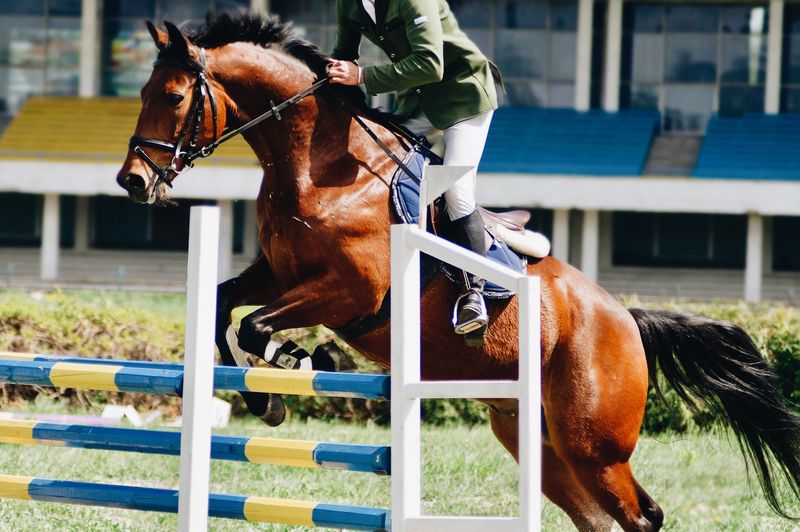 The Equestrian Sport Evolution