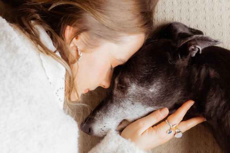 The Gentle Kiss